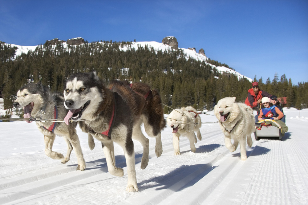 Winter Adventure Tours