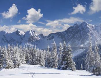 Summit Mountain Rentals Blog