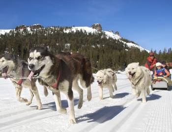 Winter Adventure Tours