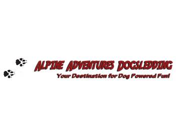 Breckenridge Dog Dogsledding Alpine Adventures Dogsledding