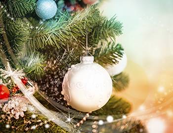Christmas Tree and Holiday Decorations - Summit Home Services Christmas Tree and Holiday Decorations - Summit Home Services