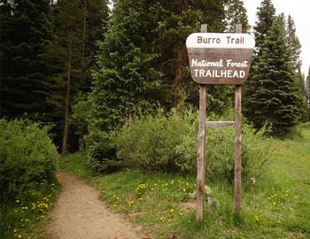 Hiking Burro Trail Breckenridge Colorado