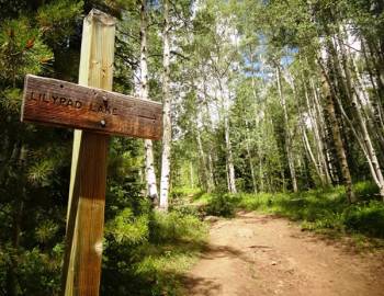 Units Near Trailheads