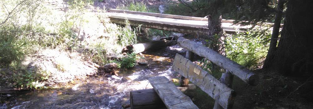 Hiking Burro Trail Breckenridge Colorado